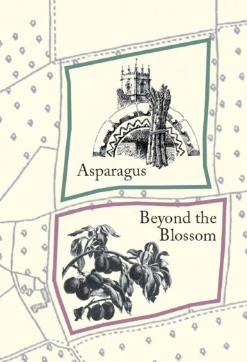 Asparagus & Beyond the Blossom