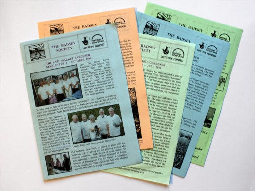 2. Newsletters