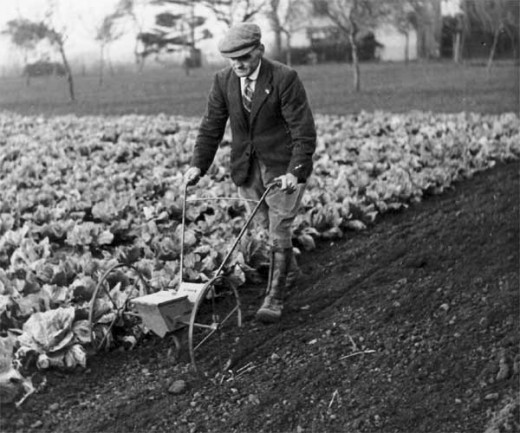 Using a seed drill