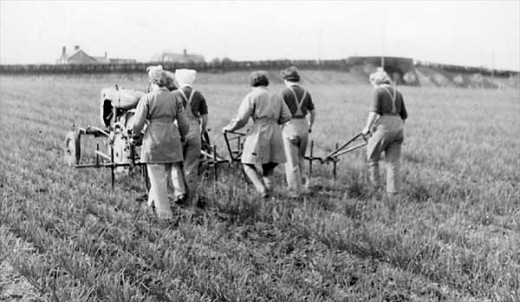 Land girls working with a David Brown tractor