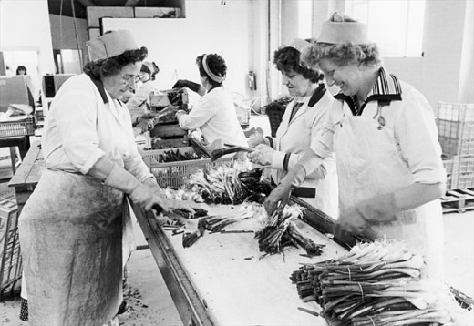 Ladies preparing spring onions for packing