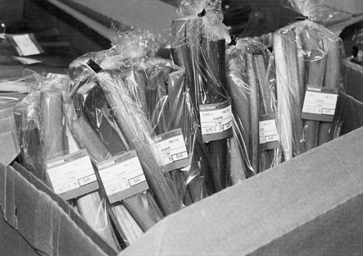 Rhubarb packaged for sale at Waitrose supermarkets
