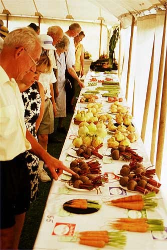 Display at the 100th Badsey Flower Show