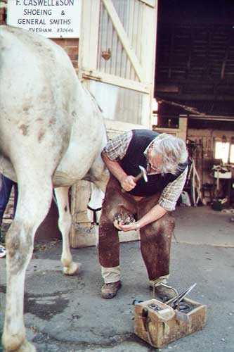 Shoeing a horse