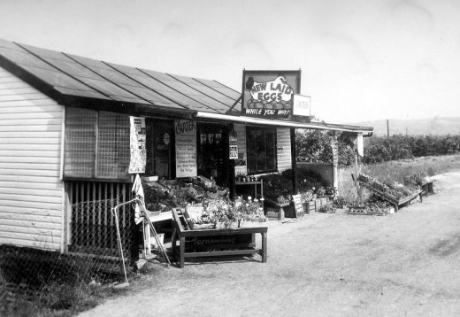 Fruit stall