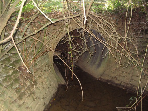 Footbridge over Bully Brook