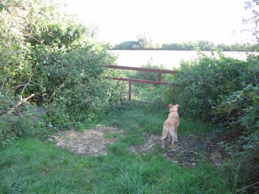 Footbridge over Bully Brook