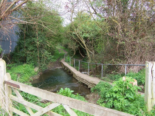 Aldington - Mill tail race culvert