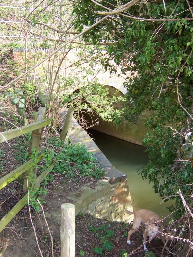 Aldington - River railway bridge