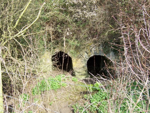 Aldington - Twin railway culvert