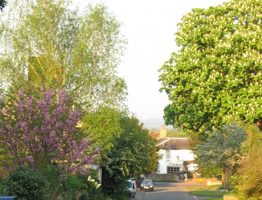 Main Street looking towards Manor Court, May 2006.