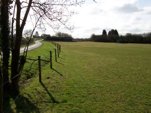 Paddock on Pitwell Lane, leading to centre of Aldington, April 2006.