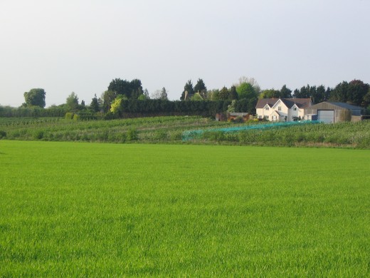 View of Southbank from Offenham Road, April 2006.