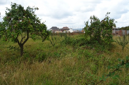 Site of Turnpike Drive housing development, August 2017.