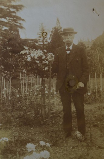Julius Sladden in his rose garden