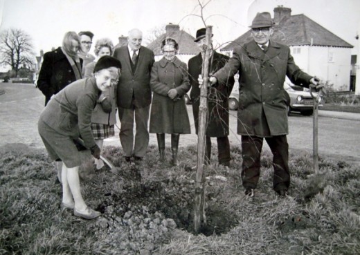 Gardening Club planting a silver birch for the Queen's Silver Jubilee, February 1977