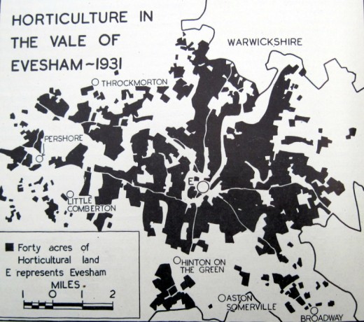 Horticulture Vale of Evesham 1931
