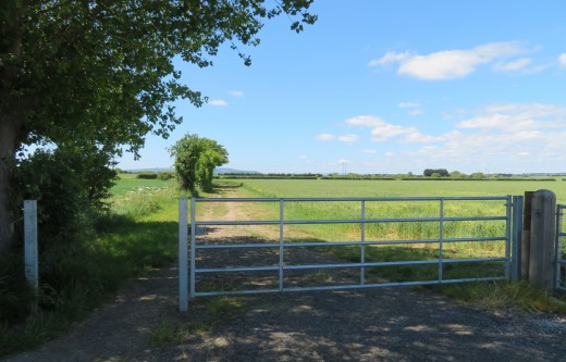 Allens Gate, Pear Tree Lane