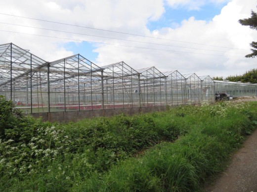 Greenhouses, Station Road