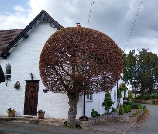 Manor Cottage, Village Street