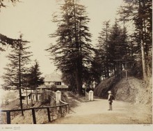 Oakover, Simla